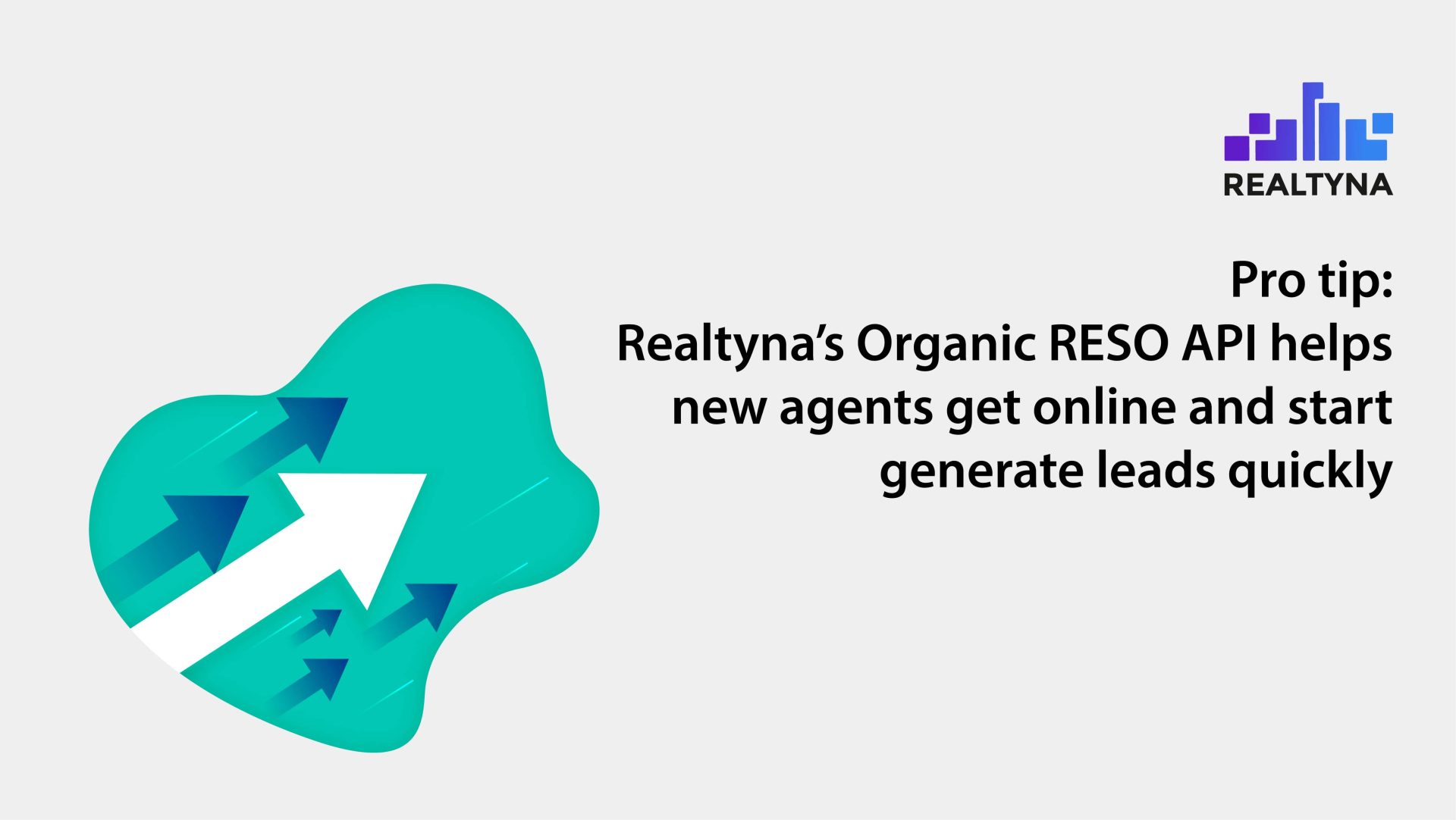 Realtyna's Organic RESO API