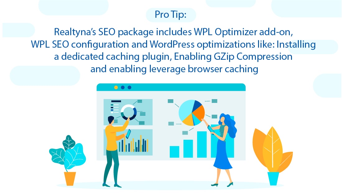 Realtyna's SEO Package