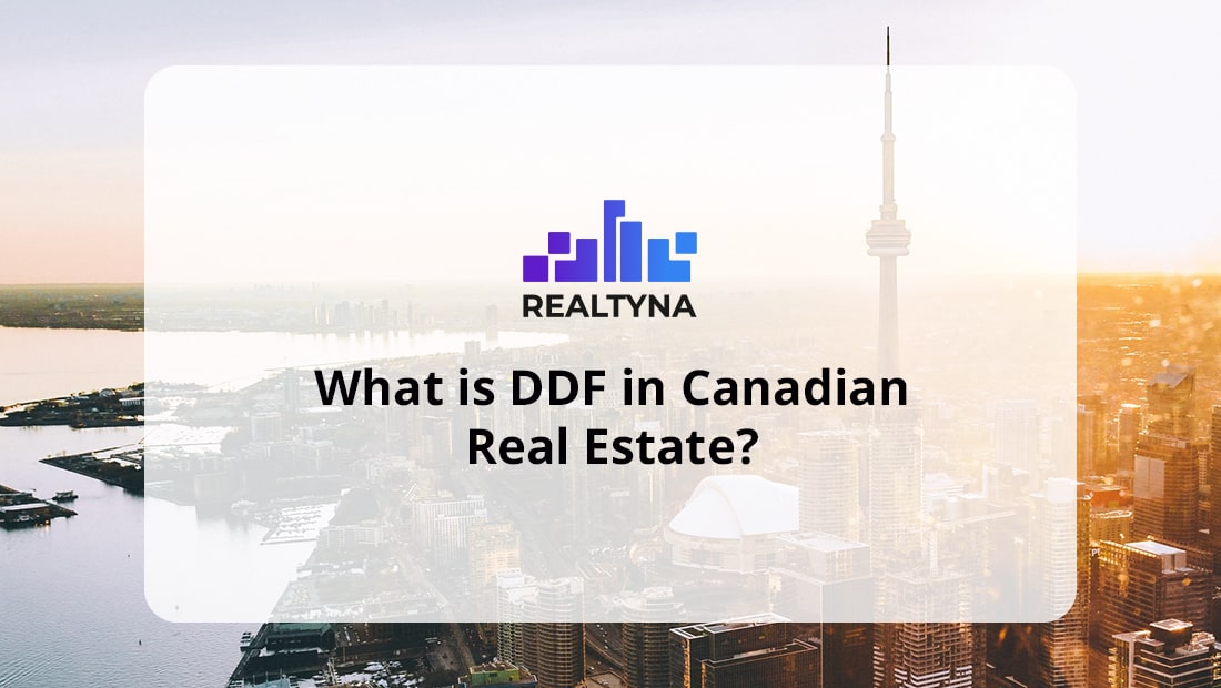 DDF meaning real estate