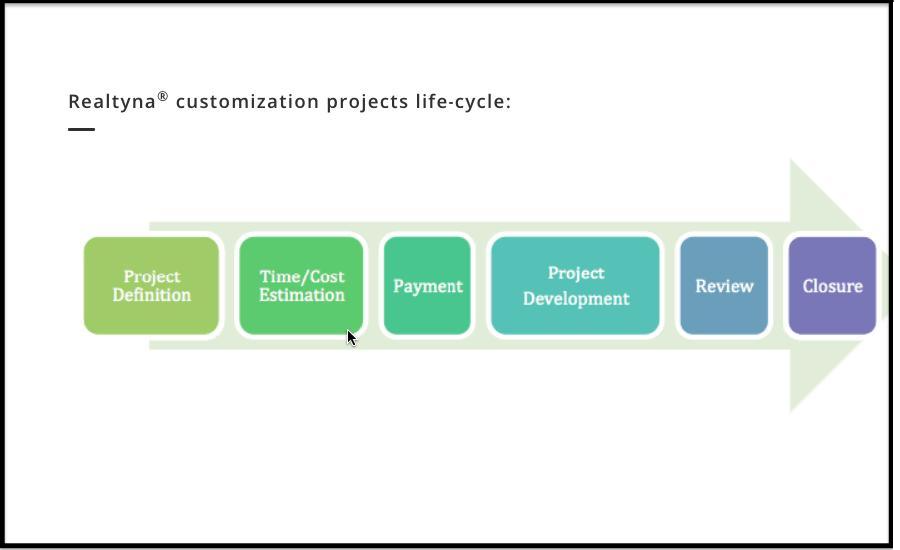 realtyna's customization service