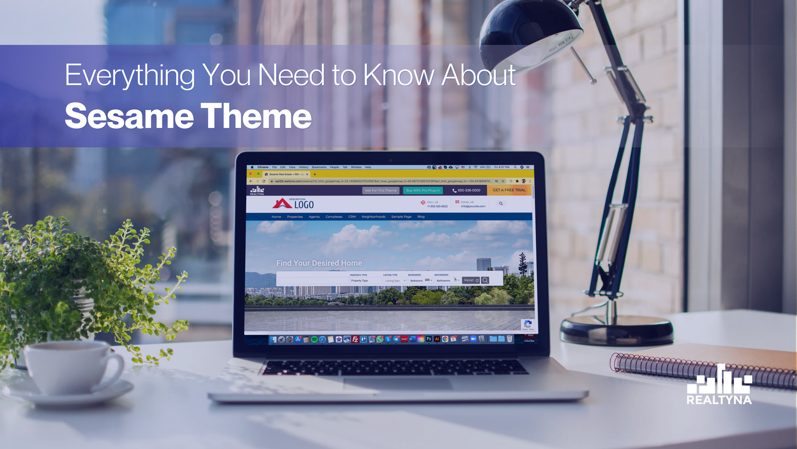 Everything You Need To Know About Sesame Theme