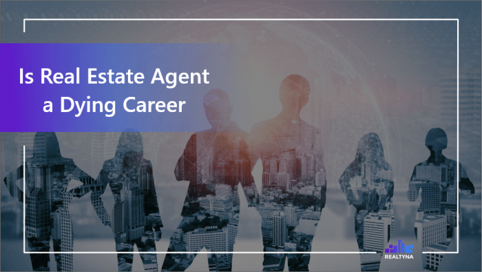 Is Real Estate Agent A Dying Career